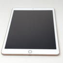 Apple iPad 10.2 7th Generation 32GB WiFi A2197 Gold Excellent