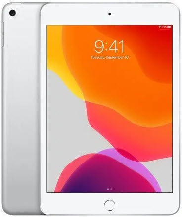 iPad Mini 5 256GB WiFi Silver (5th Generation) – The BuyBackWorld