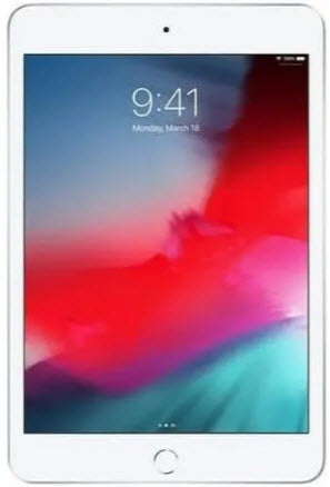 iPad Mini 5 256GB WiFi Silver (5th Generation) – The BuyBackWorld