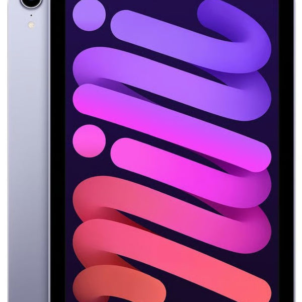 iPad Mini 6 256GB WiFi Purple (6th Generation) – The BuyBackWorld