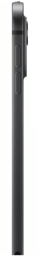 iPad Pro 11 M4 Space Black (Unlocked Cellular + WiFi) - The BuyBackWorld Store